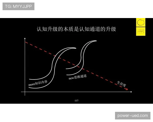 哲科与本泽马终结模式分化：从单点强攻到体系化输出的演进逻辑